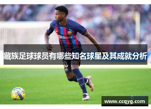 藏族足球球员有哪些知名球星及其成就分析