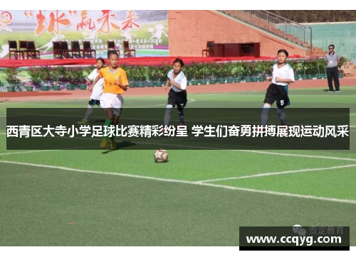 西青区大寺小学足球比赛精彩纷呈 学生们奋勇拼搏展现运动风采