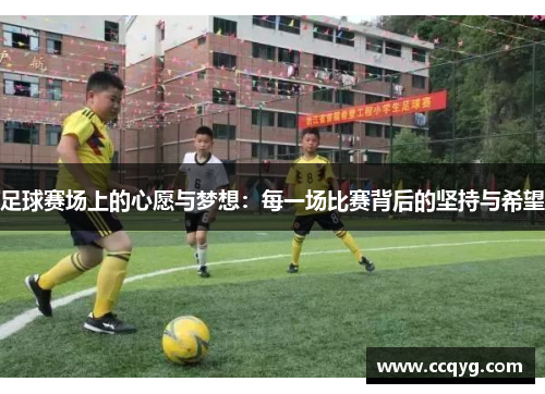 足球赛场上的心愿与梦想：每一场比赛背后的坚持与希望